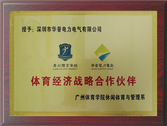 體育經(jīng)濟(jì)戰(zhàn)略合作伙伴